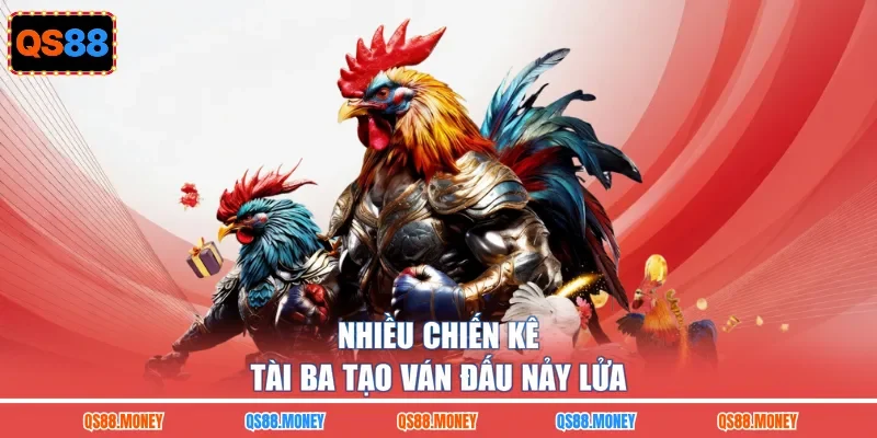 Nhiều chiến kê tài ba tạo ván đấu nảy lửa